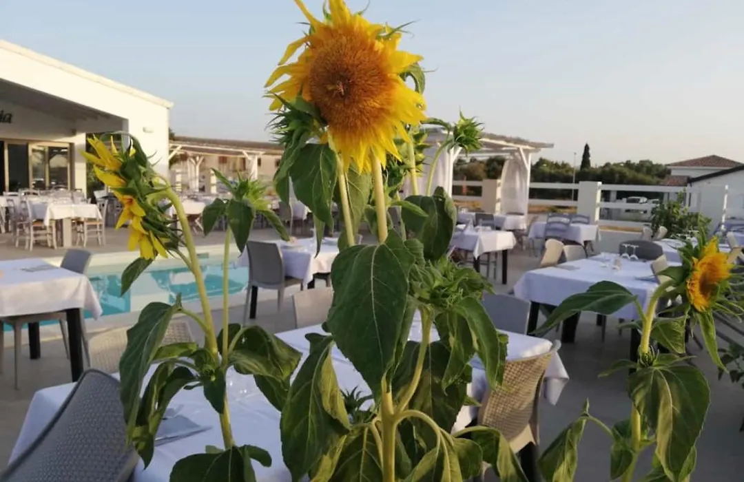 Villa INN-1
